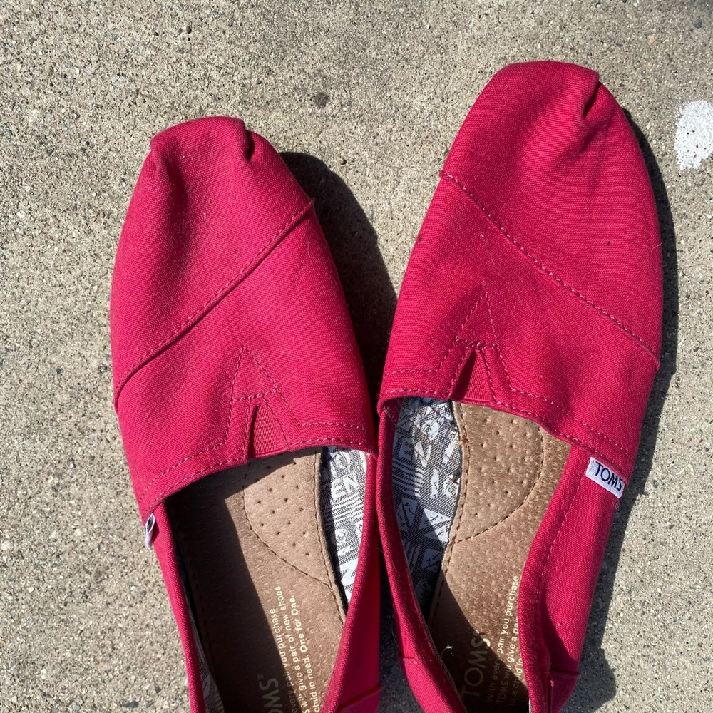 Fuchsia Toms